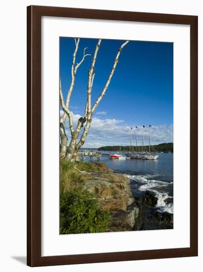 Maine, Mt. Desert Island, Bar Harbor, Tall Ship, Frenchman Bay-Walter Bibikow-Framed Photographic Print