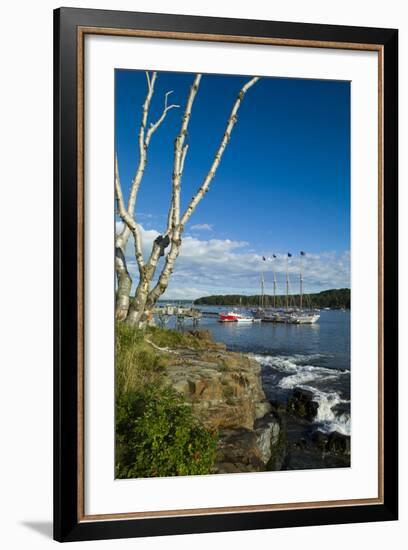 Maine, Mt. Desert Island, Bar Harbor, Tall Ship, Frenchman Bay-Walter Bibikow-Framed Photographic Print