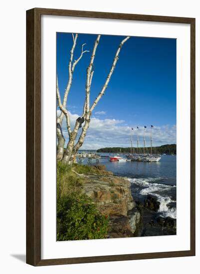 Maine, Mt. Desert Island, Bar Harbor, Tall Ship, Frenchman Bay-Walter Bibikow-Framed Photographic Print