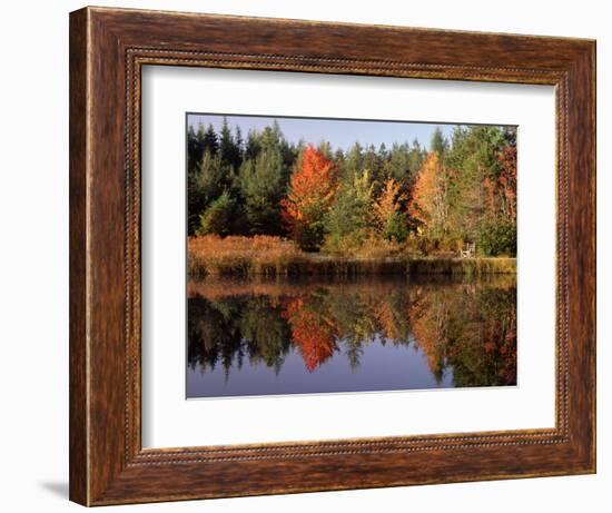 Maine Pond with Reflection and Chair, USA-Charles Sleicher-Framed Photographic Print