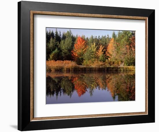 Maine Pond with Reflection and Chair, USA-Charles Sleicher-Framed Photographic Print
