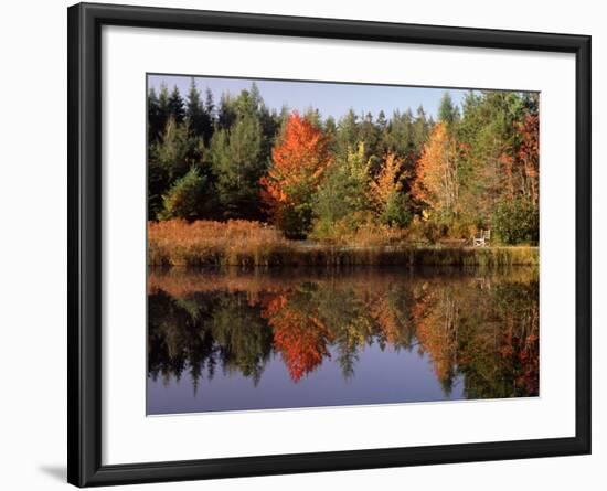 Maine Pond with Reflection and Chair, USA-Charles Sleicher-Framed Photographic Print