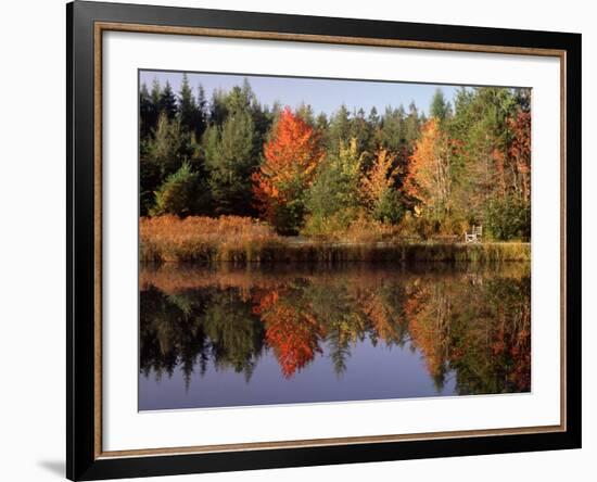 Maine Pond with Reflection and Chair, USA-Charles Sleicher-Framed Photographic Print