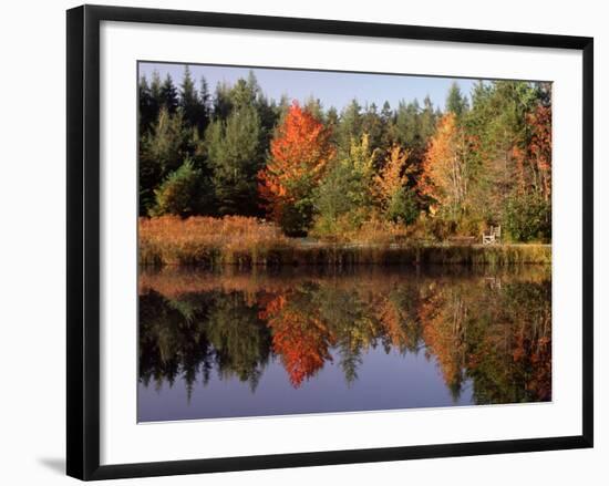 Maine Pond with Reflection and Chair, USA-Charles Sleicher-Framed Photographic Print