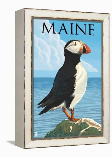 Maine - Puffin on Rock Scene-Lantern Press-Framed Stretched Canvas