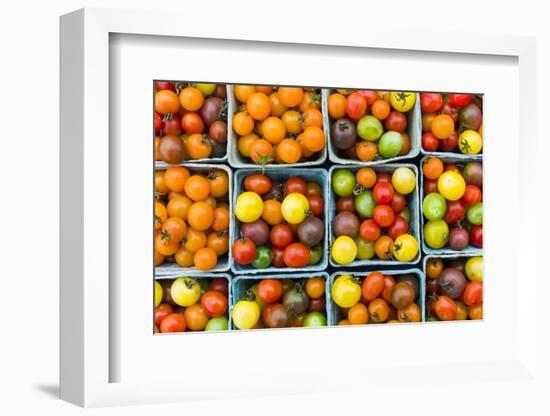 Maine, Rockland, Cherry Tomatoes at Farmers Market-Walter Bibikow-Framed Photographic Print