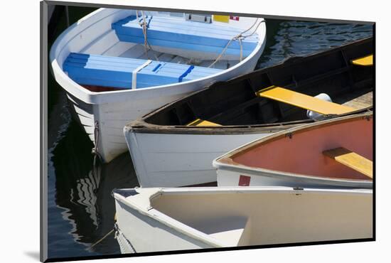 Maine, Rockland. Colorful Row Boats in Rockland Marina-Cindy Miller Hopkins-Mounted Photographic Print