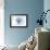 Maine - Scallop Shell - Blue - Coastal Icon-Lantern Press-Framed Art Print displayed on a wall