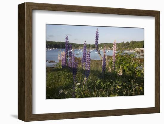 Maine Scenic-Lynn M^ Stone-Framed Photographic Print