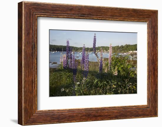 Maine Scenic-Lynn M^ Stone-Framed Photographic Print