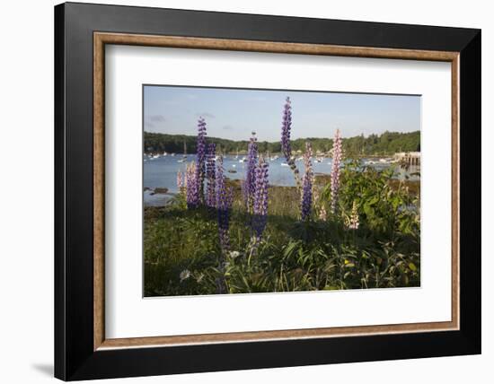 Maine Scenic-Lynn M^ Stone-Framed Photographic Print