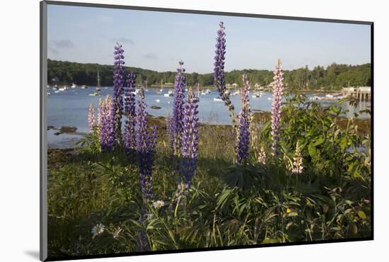 Maine Scenic-Lynn M^ Stone-Mounted Photographic Print