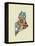 Maine State Map-Lanre Adefioye-Framed Premier Image Canvas