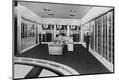 Premium Photographic Print