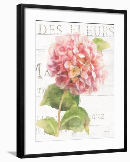 Maison des Fleurs VII-Danhui Nai-Framed Art Print