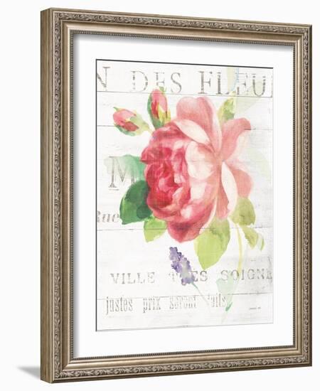 Maison des Fleurs VIII-Danhui Nai-Framed Art Print