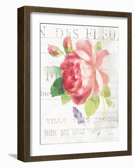 Maison des Fleurs VIII-Danhui Nai-Framed Art Print