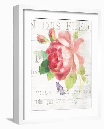 Maison des Fleurs VIII-Danhui Nai-Framed Art Print