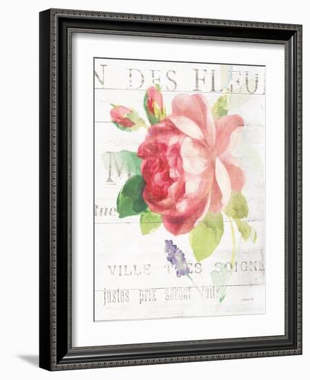 Maison des Fleurs VIII-Danhui Nai-Framed Art Print