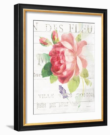 Maison des Fleurs VIII-Danhui Nai-Framed Art Print