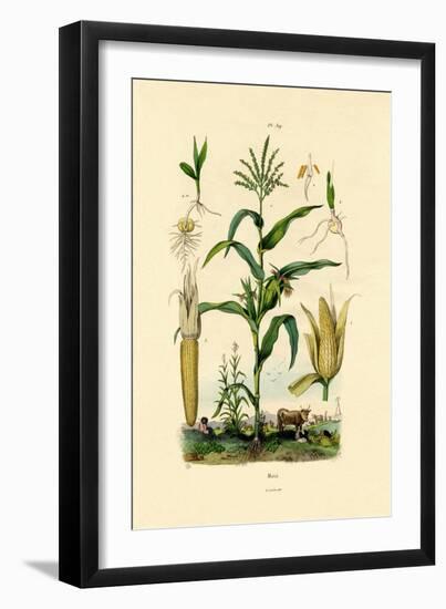 Maize, 1833-39-null-Framed Giclee Print