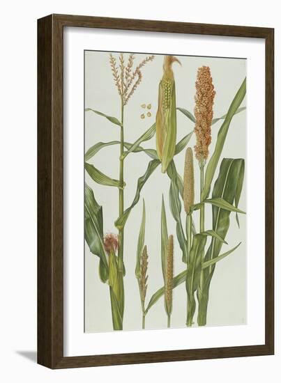 Maize and Other Crops-Elizabeth Rice-Framed Giclee Print
