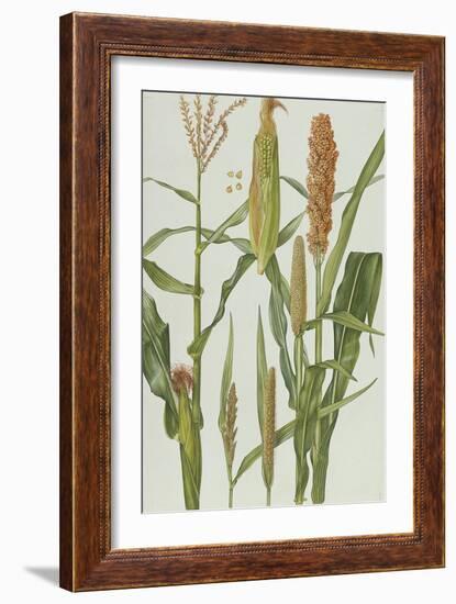 Maize and Other Crops-Elizabeth Rice-Framed Giclee Print