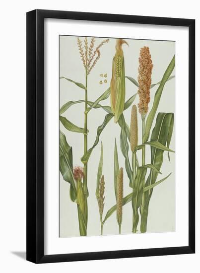 Maize and Other Crops-Elizabeth Rice-Framed Giclee Print