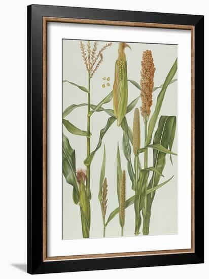 Maize and Other Crops-Elizabeth Rice-Framed Giclee Print