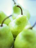 Poached Fruit (Pears, Rhubarb, Peaches)-Maja Smend-Photographic Print