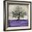 Majestic - Amethyst-Eric Turner-Framed Art Print