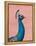 Majestic Beauty III-Daphne Brissonnet-Framed Stretched Canvas