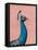 Majestic Beauty III-Daphne Brissonnet-Framed Stretched Canvas