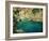 Majestic Beauty-kirilstanchev-Framed Art Print