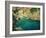 Majestic Beauty-kirilstanchev-Framed Art Print