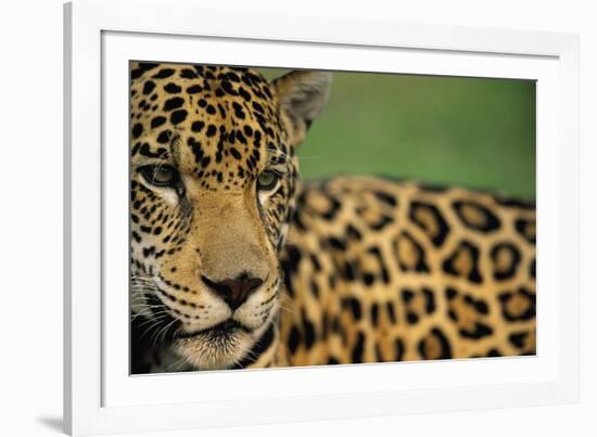 Majestic Calm-Staffan Widstrand-Framed Giclee Print