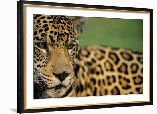 Majestic Calm-Staffan Widstrand-Framed Giclee Print