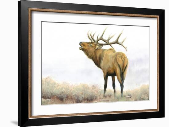 Majestic Elk Brown-James Wiens-Framed Art Print