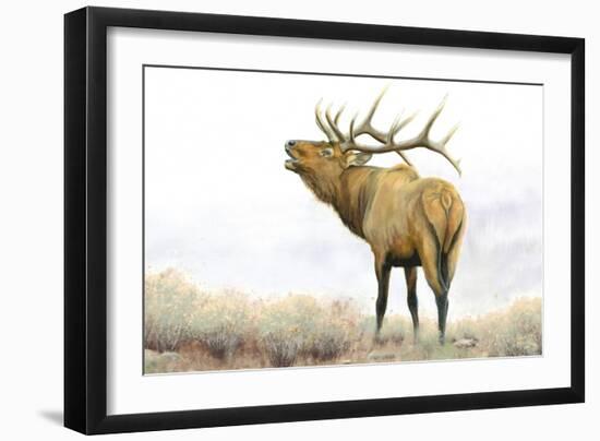 Majestic Elk Brown-James Wiens-Framed Art Print