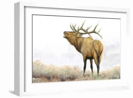 Majestic Elk Brown-James Wiens-Framed Art Print