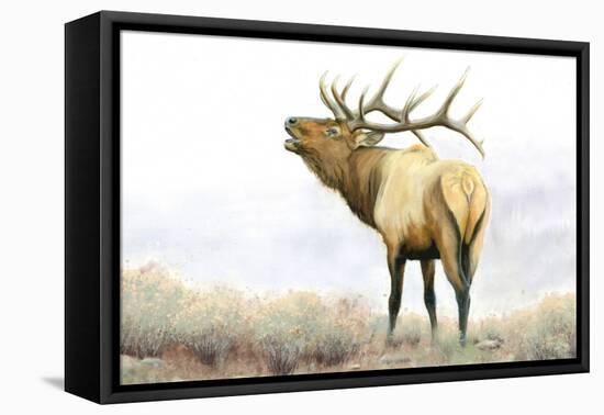 Majestic Elk-James Wiens-Framed Stretched Canvas