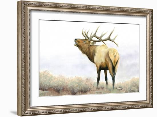 Majestic Elk-James Wiens-Framed Art Print