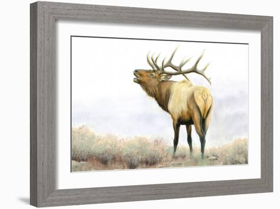 Majestic Elk-James Wiens-Framed Art Print