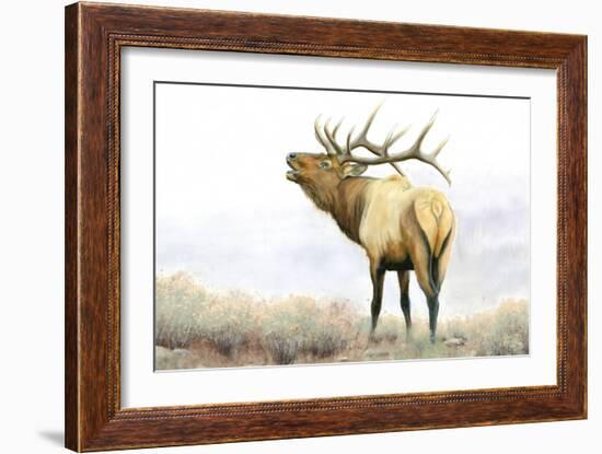 Majestic Elk-James Wiens-Framed Art Print