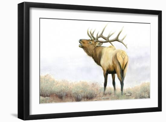 Majestic Elk-James Wiens-Framed Art Print