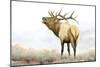 Majestic Elk-James Wiens-Mounted Art Print