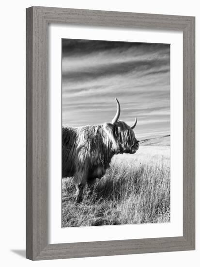 Majestic Gaze-James Guilliam-Framed Giclee Print