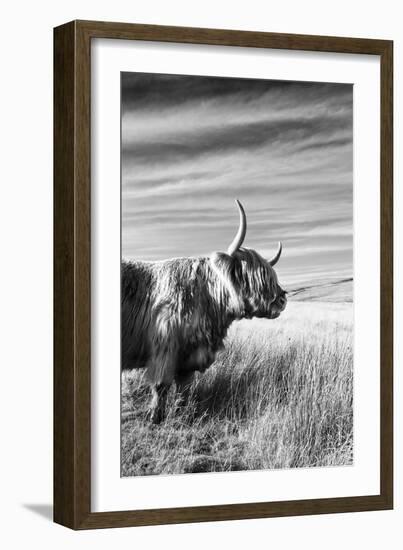 Majestic Gaze-James Guilliam-Framed Giclee Print