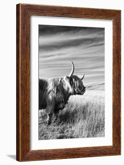 Majestic Gaze-James Guilliam-Framed Giclee Print