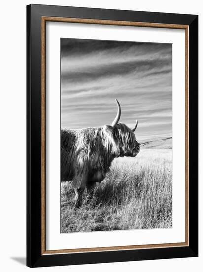 Majestic Gaze-James Guilliam-Framed Giclee Print